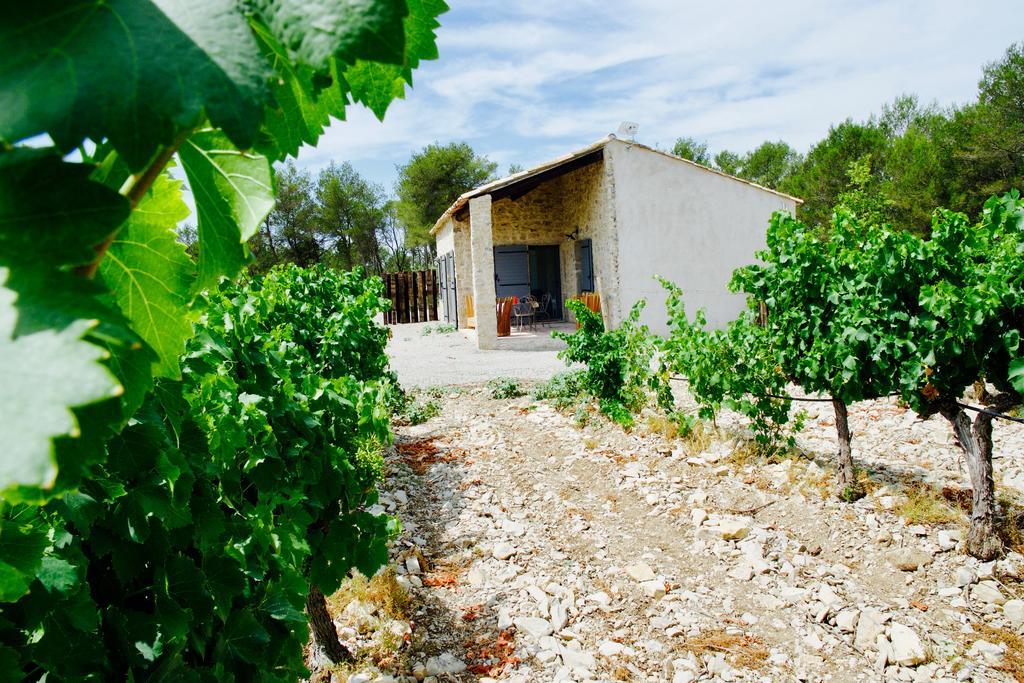 Les Lodges Du Pic Le Triadou Ngoại thất bức ảnh